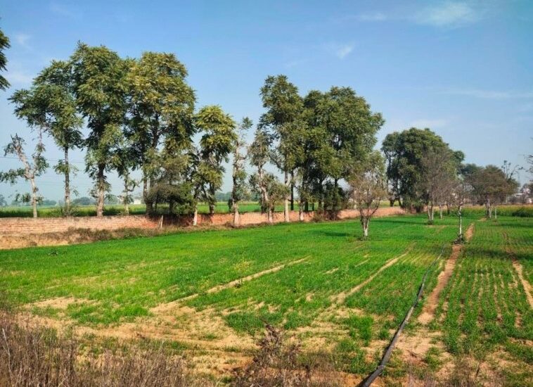 farm-land-in-gurgaon-for-sale-with-frontage-on-tar-road