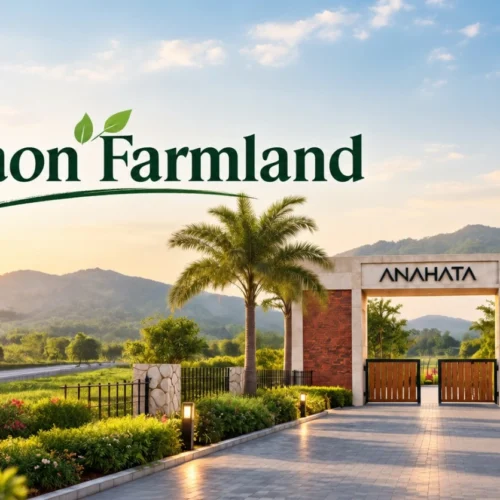 Farmland and Farmhouse Near Gurgaon